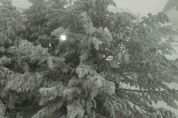 EN INVIERNO, NIEVE, NIEVE