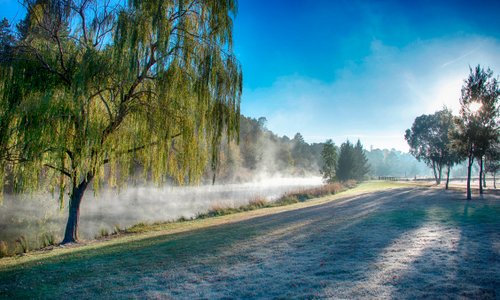 Visit Yass Valley Morning Mist Yass