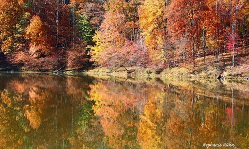 Needwood Lake
