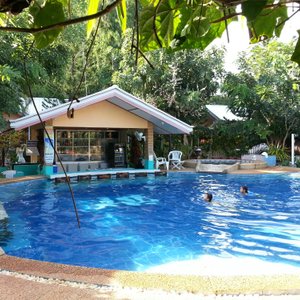 Piscine et Bar