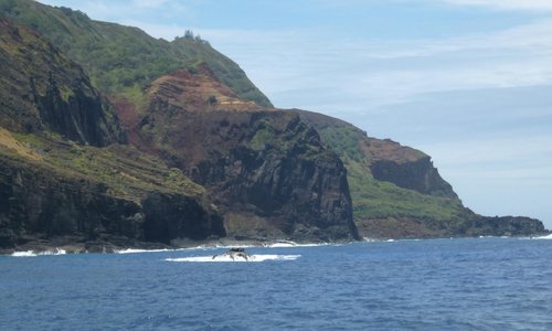 ピトケアン諸島 旅行 観光ガイド 21年 トリップアドバイザー