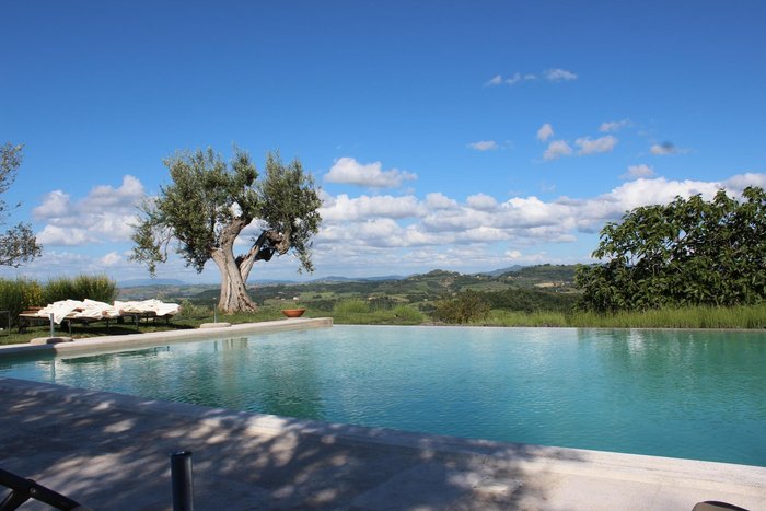 Poggio Piglia Pool: Pictures & Reviews - Tripadvisor