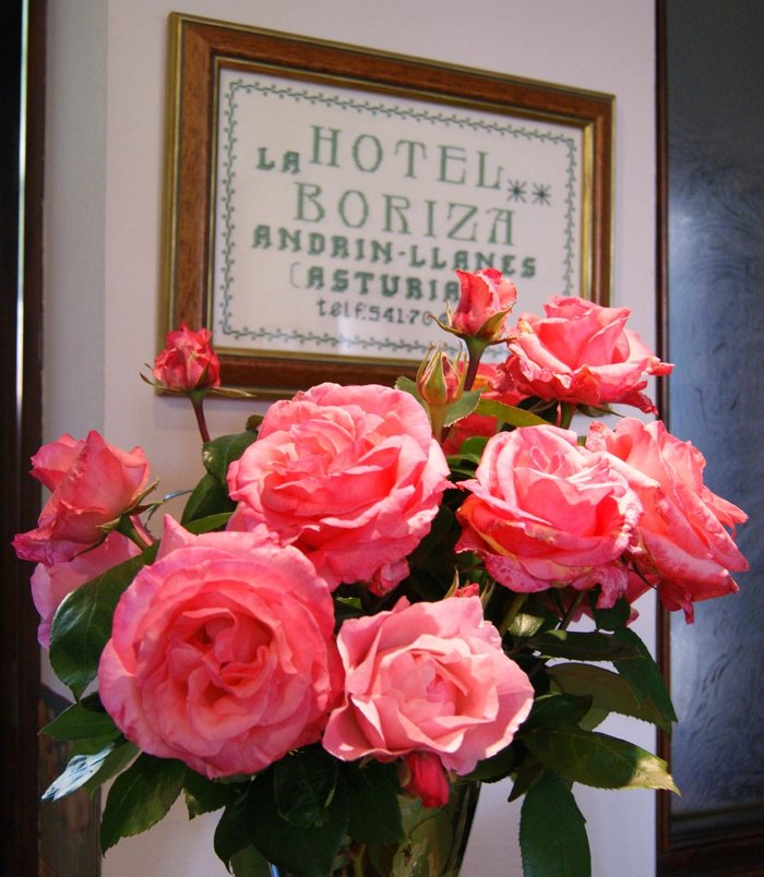Imagen 20 de Hotel La Boriza