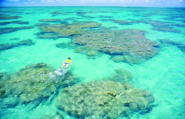 Parrachos de Maracajau (Natal) - All You Need to Know BEFORE You Go