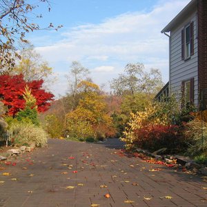 The Avenue's Driveway