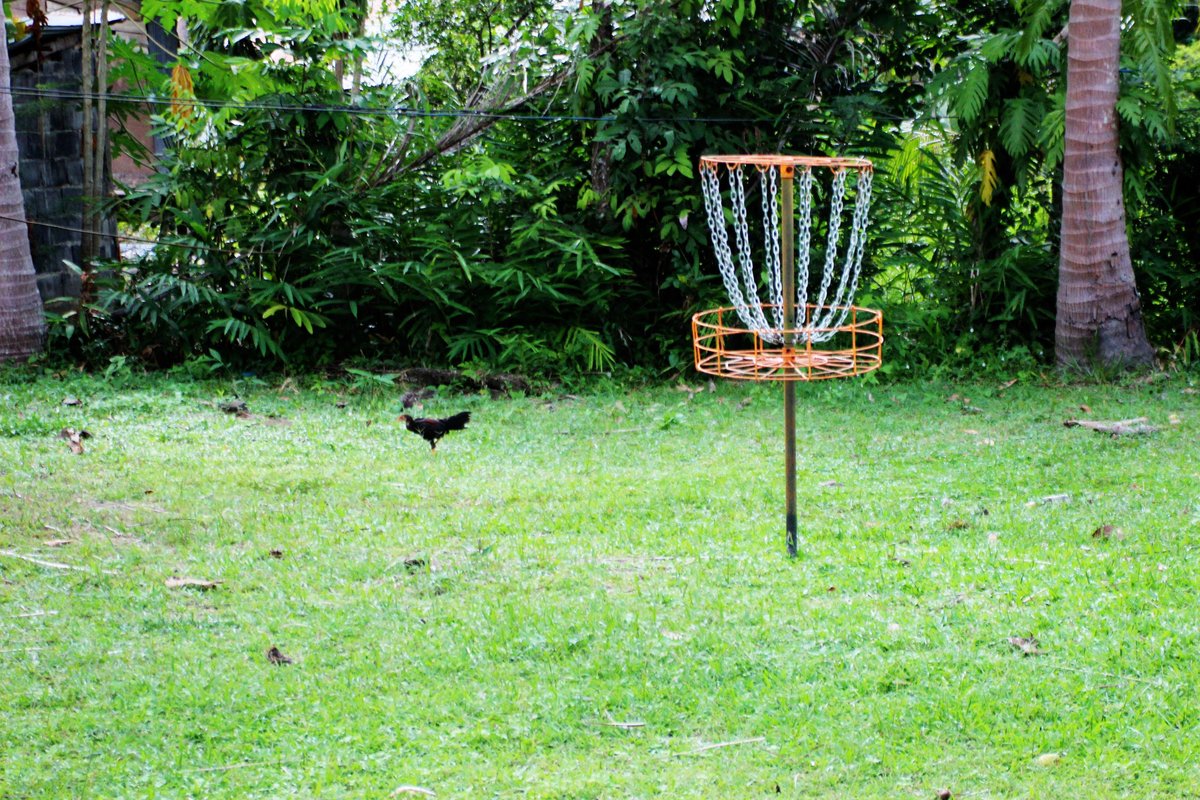 Samui Disc Golf, Мае-Нам: лучшие советы перед посещением - Tripadvisor