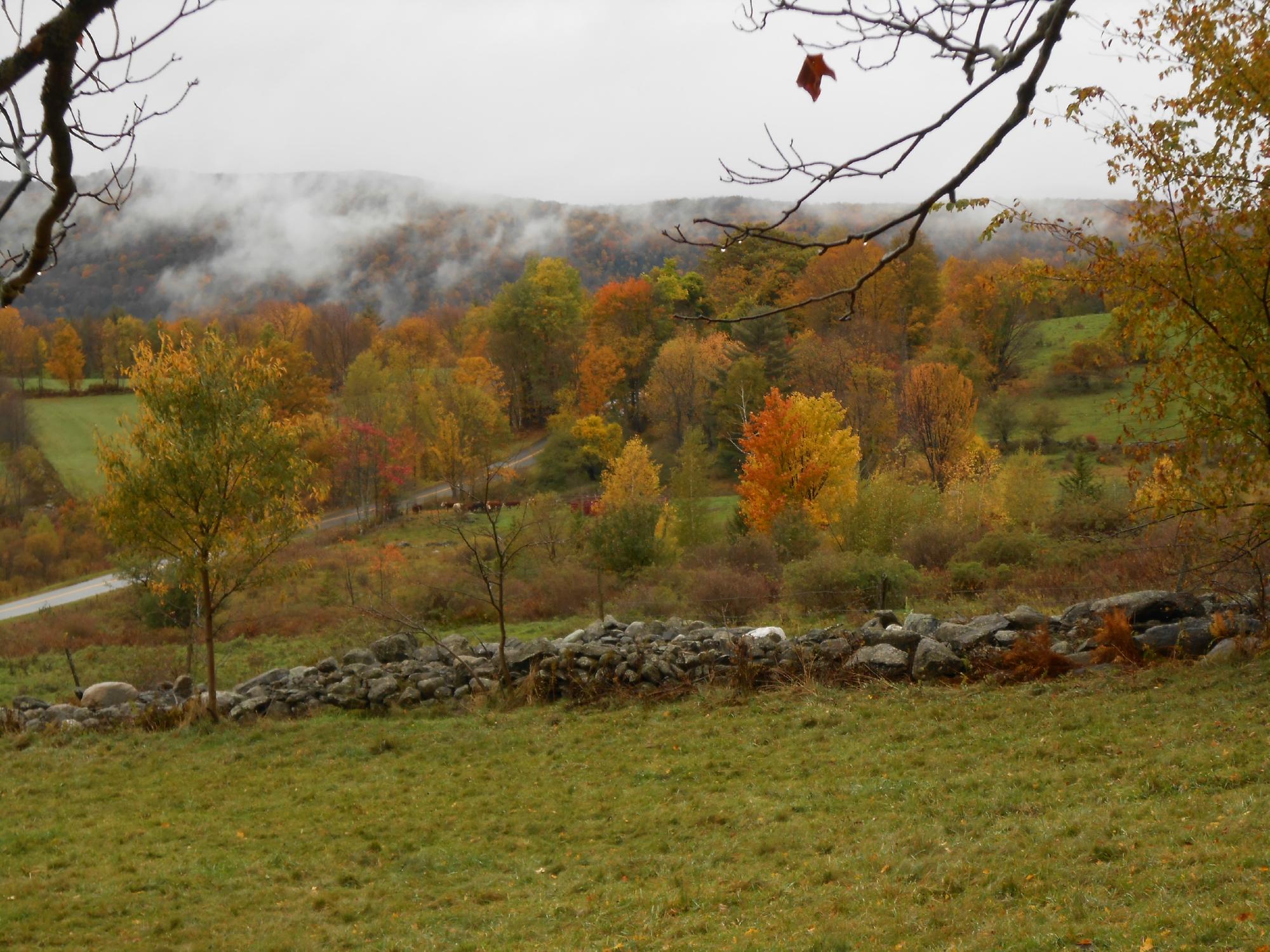 Maple Crest Farm (Shrewsbury) - 0条旅客点评