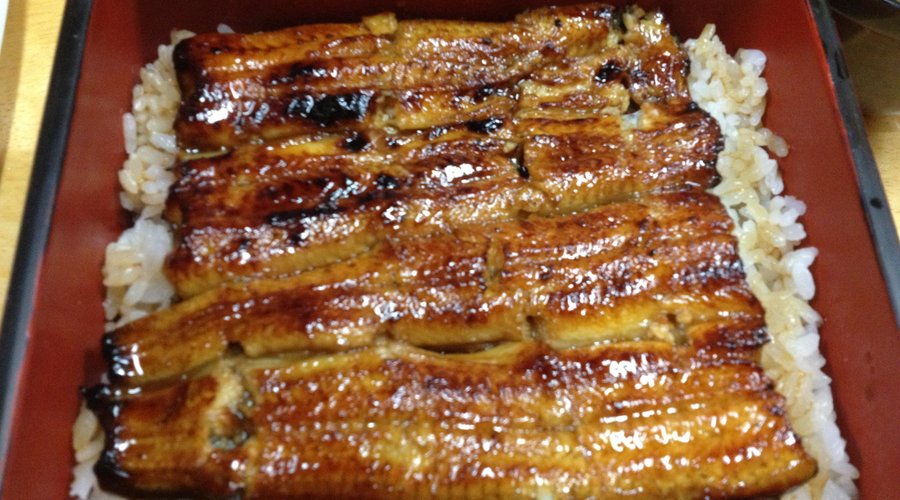 Eel bowl