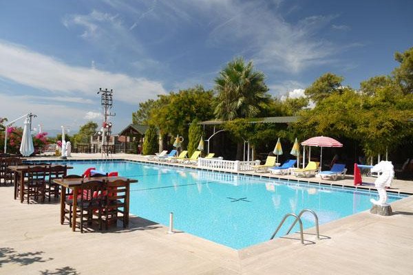 The view of Silver pine hotel's yard.
