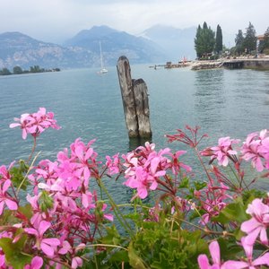 assenza