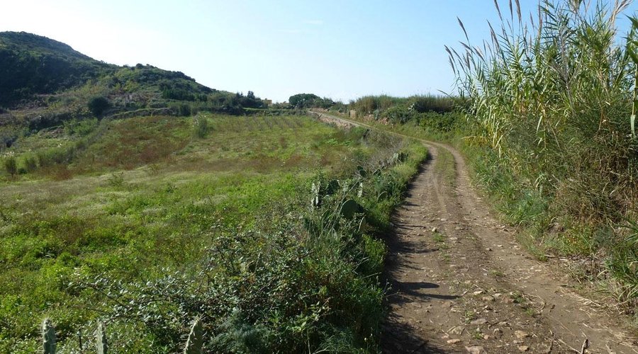 La strada comunale, vista da 150mt prima dell'arrivo alla Dolce vita