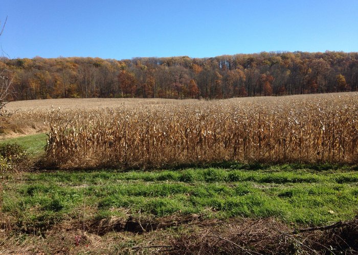 Wonderful fall views