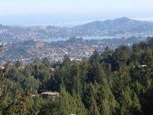 The view from the deck.