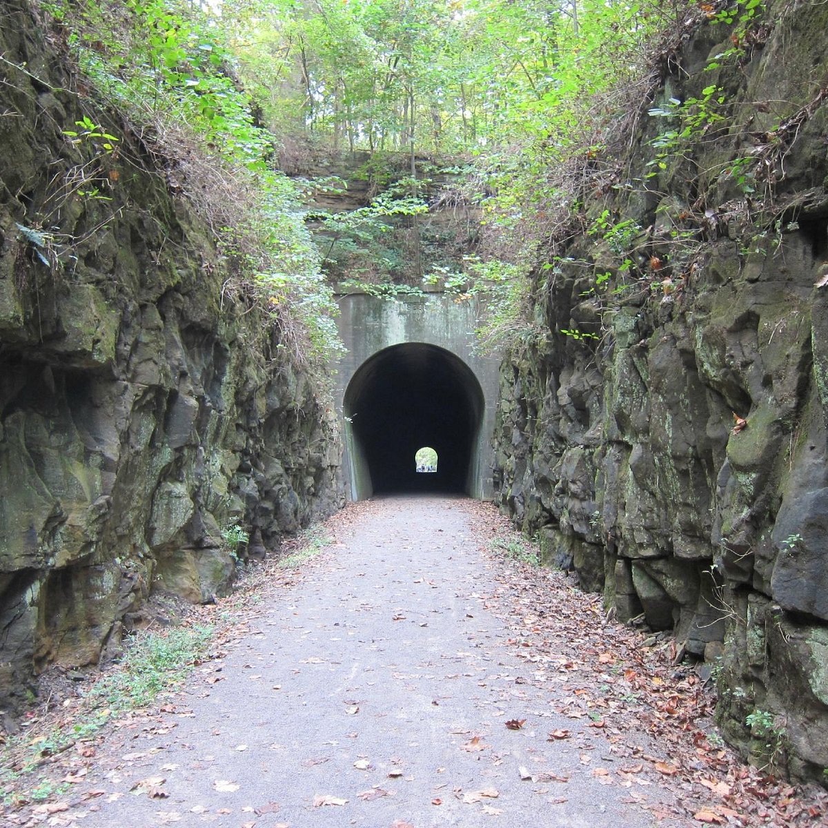 Tunnel Hill State Trail (Vienna) All You Need to Know BEFORE You Go