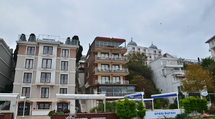 Common view