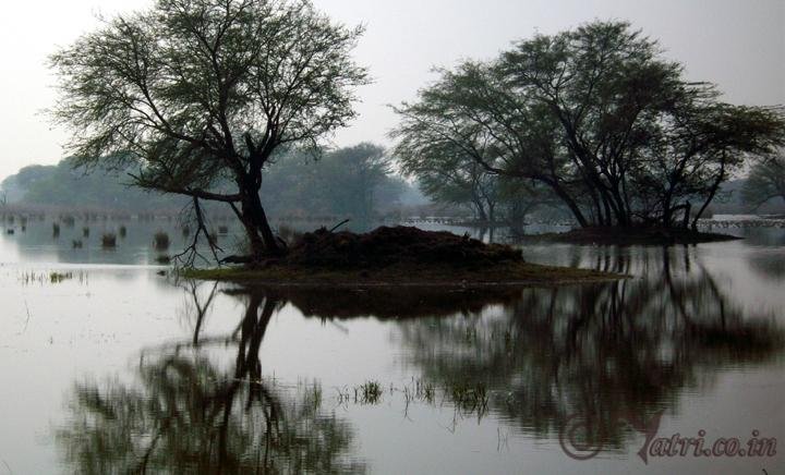 Sultanpur National Park (Gurugram (Gurgaon)) - All You Need to Know BEFORE  You Go (with Photos) - Tripadvisor