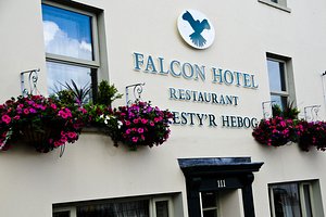Falcon Hotel and Restaurant in Carmarthen, image may contain: Potted Plant, Plant, Planter, Vase