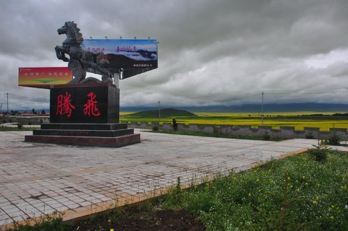 Qinghai Hoben01 review images