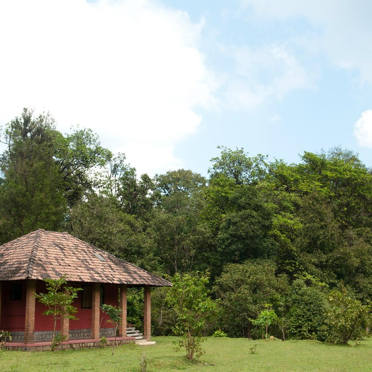 Agumbe Rainforest Research Station - 2022 Alles wat u moet weten ...