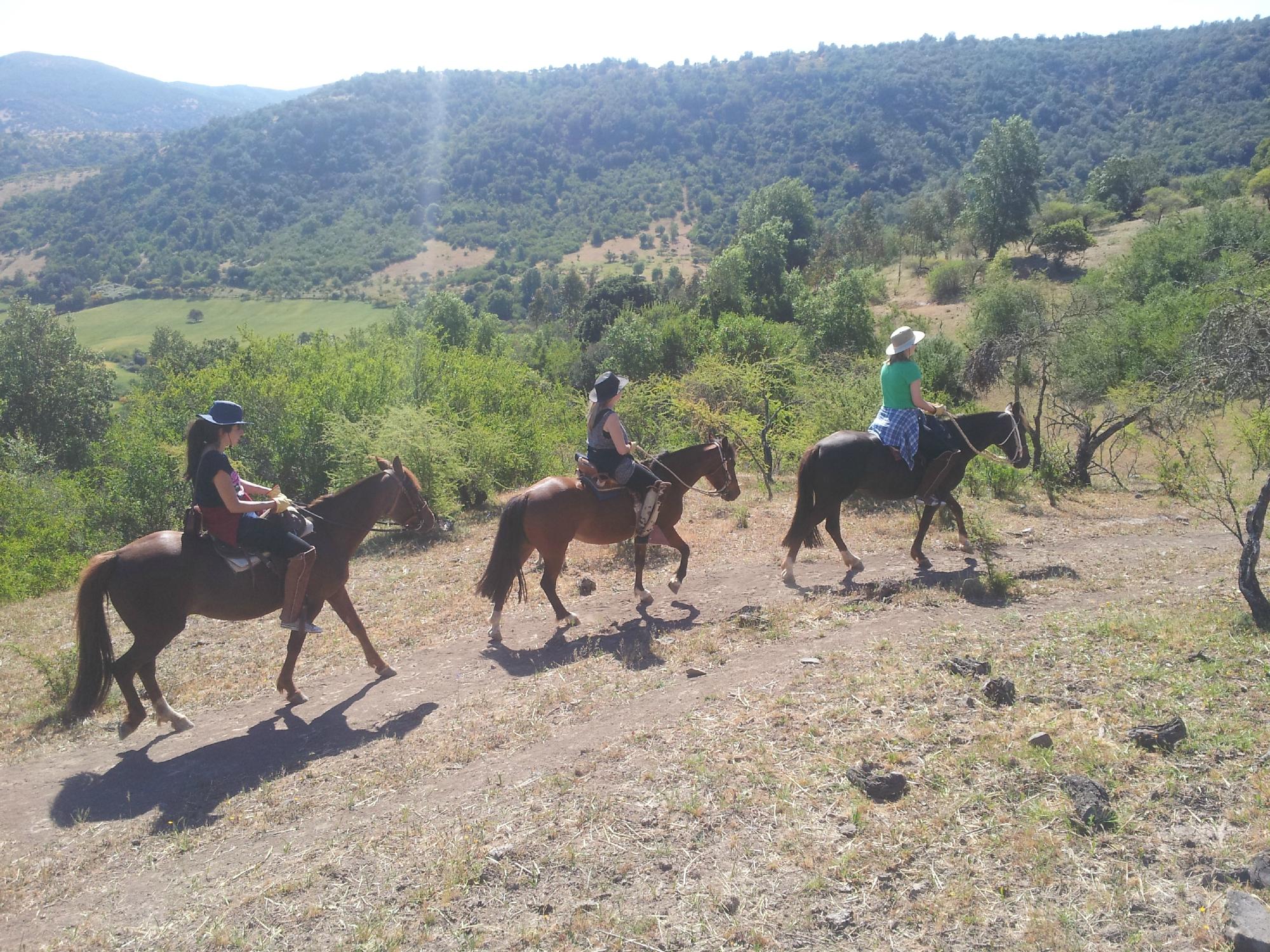 Horseback Rides Santa Cruz All You Need to Know BEFORE You Go