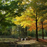 Fall Colors at Upton Hill Regional Park
