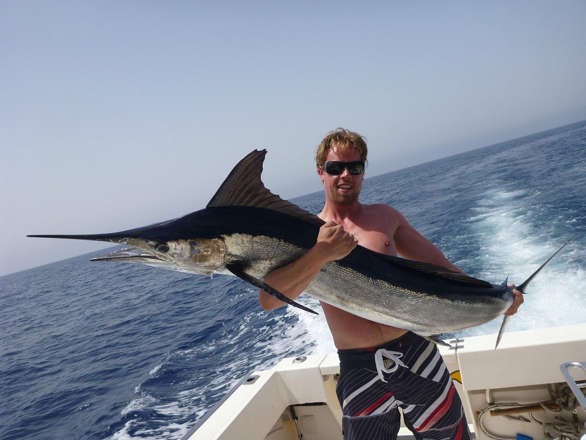 CAVALIER & BLUE MARLIN FISHING CHARTERS (Puerto Rico) - All You