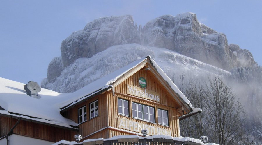 Alpenstubn im Winter