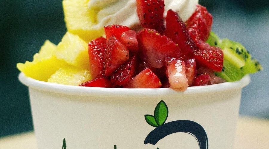 Locally Crafted Frozen Yogurt ~