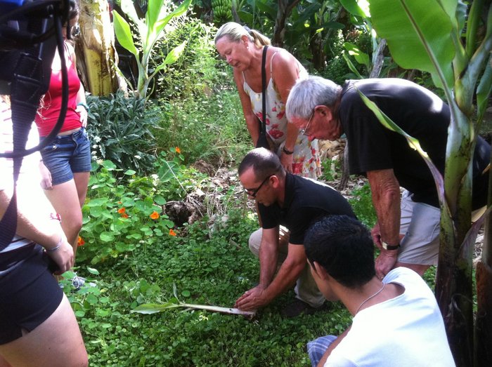 Imagen 2 de Ecofinca Platanológico