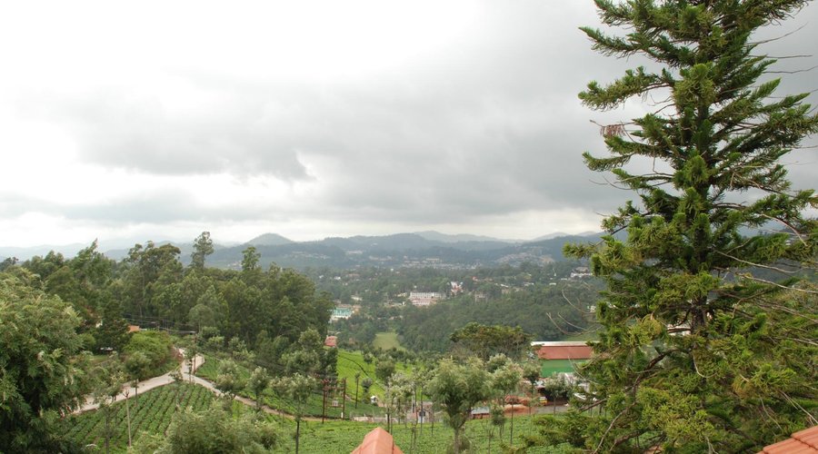 Coonoor Vally View