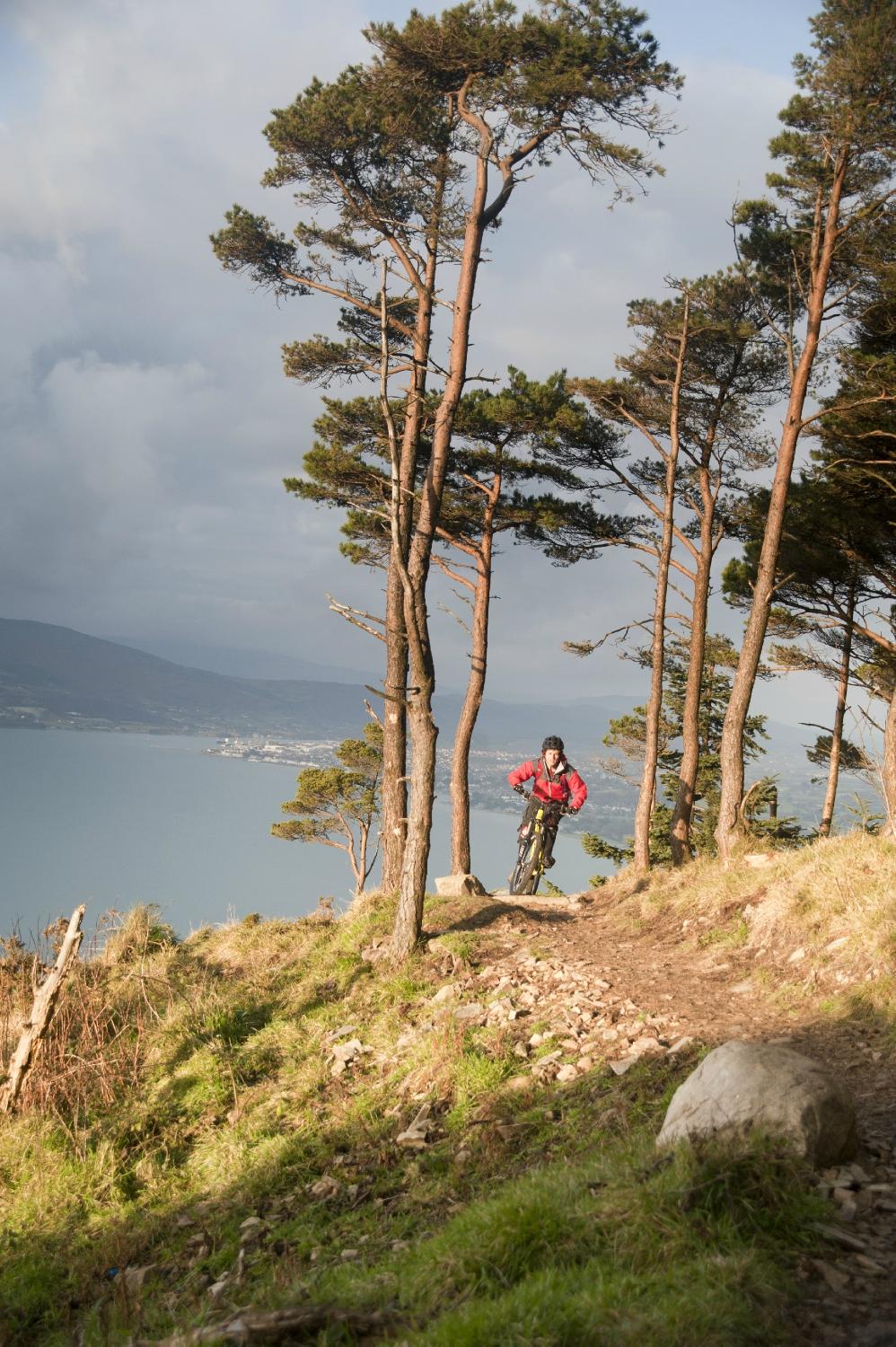 Rostrevor Mountain Bike Trails All You Need to Know BEFORE You Go 2024