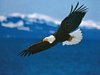 bird_on_vacation