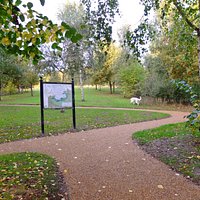 Brackmills Woods Western Loop Entrance