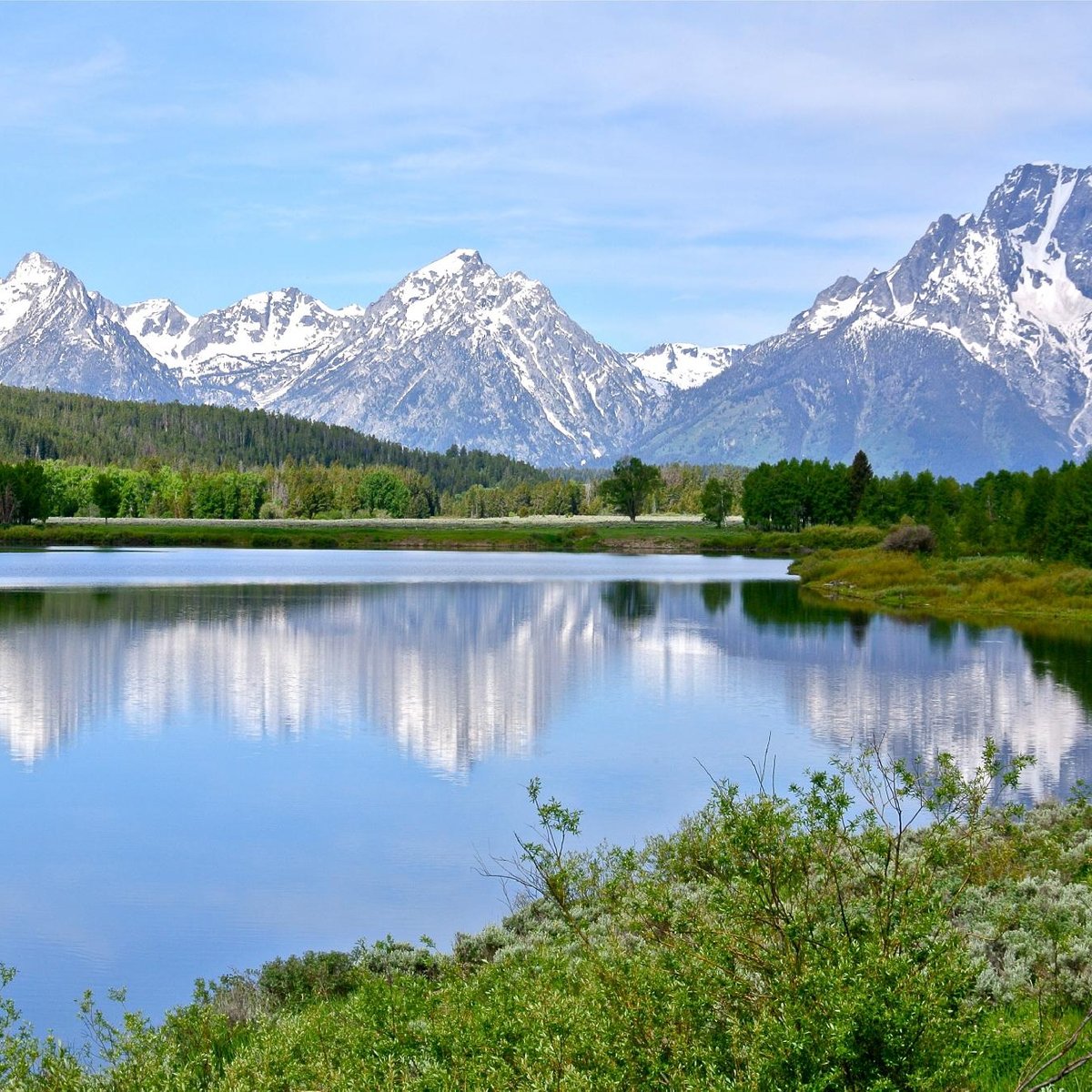 are dogs allowed in grand teton national park