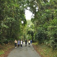 Parque Estadual da Serra da Cantareira