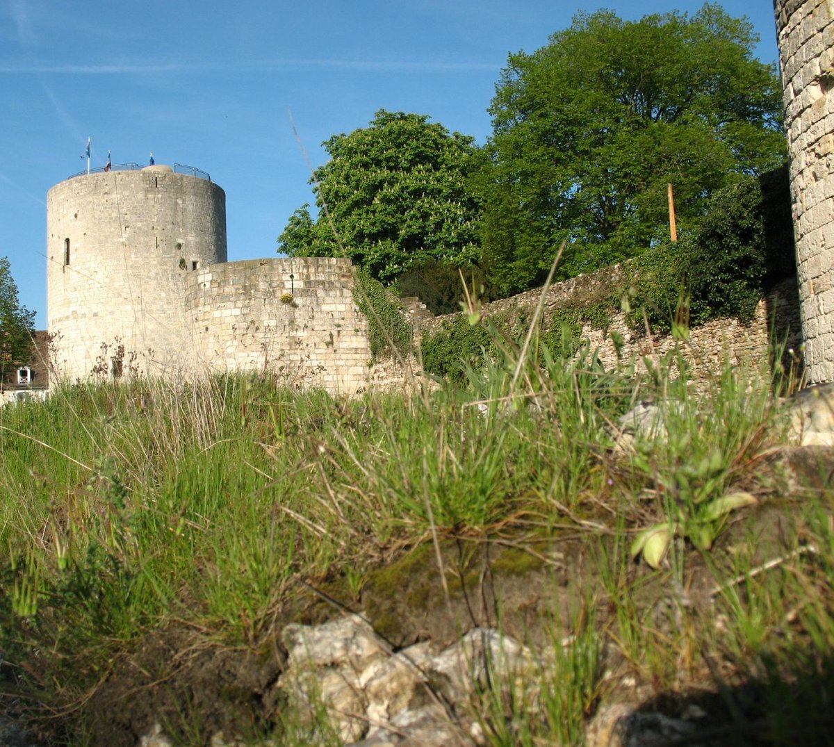 Château de Dourdan: лучшие советы перед посещением - Tripadvisor