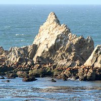Oregon Islands NWR