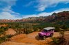 Pink Jeep Tours