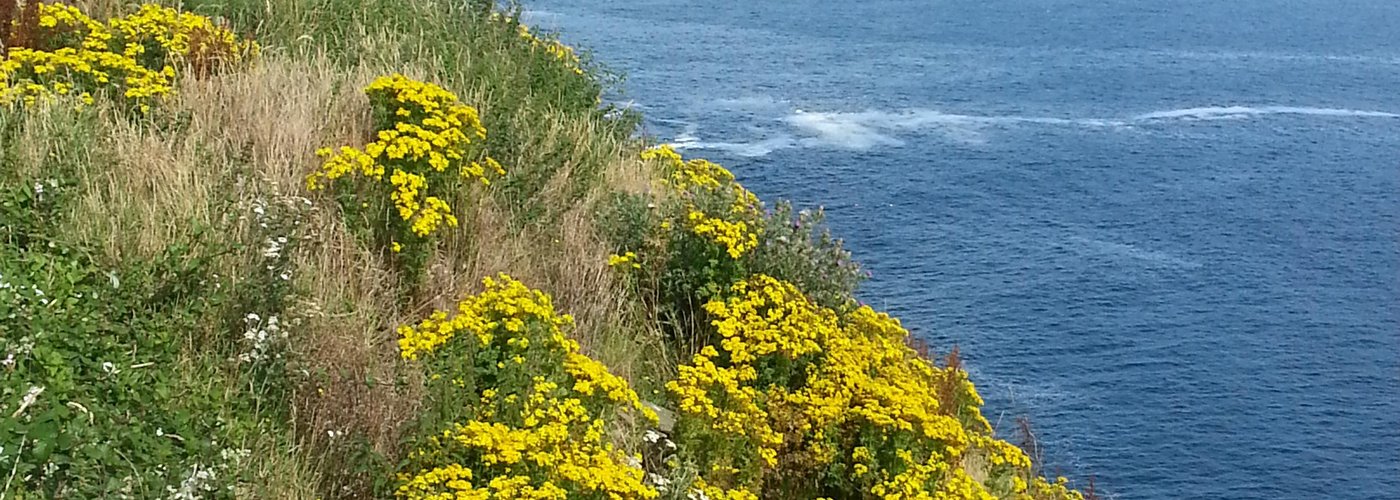 Short Drive to Dingle Penninsula