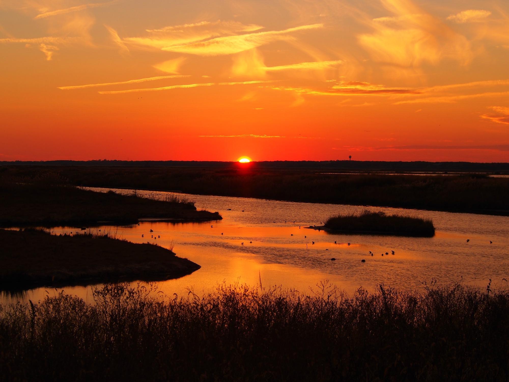 Edwin B. Forsythe National Wildlife Refuge (Oceanville) - Lohnt Es Sich?