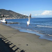 Lungomare Alassio