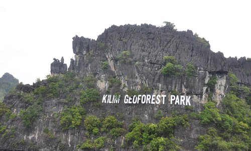 Kilim Geo Forest