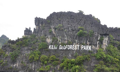 Kilim Geo Forest