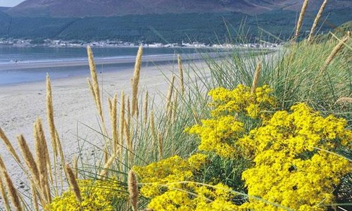 Mournes Beach