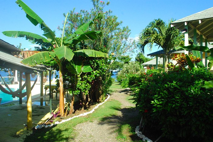 Jamaica Colors Hotel and Eco-Retreat Rooms: Pictures & Reviews ...