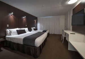 Room & Suite
