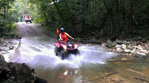 quad bike tours noosa