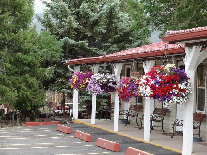 https://dynamic-media-cdn.tripadvisor.com/media/photo-o/05/01/fa/31/hanging-baskets-everywhere.jpg?w=700&h=-1&s=1