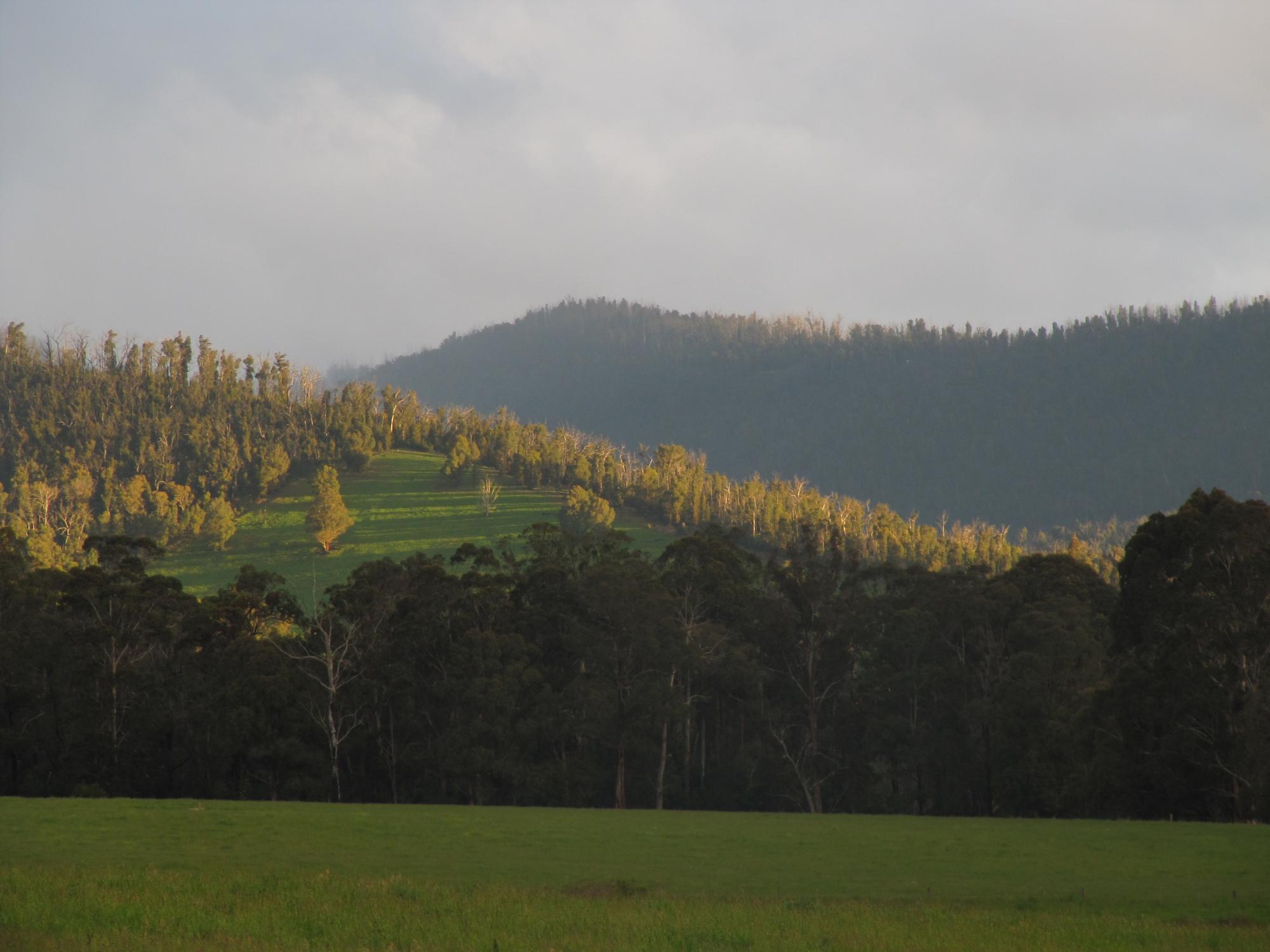 MARYTON PARK COUNTRY COTTAGES (MARYSVILLE, AUSTRÁLIA): 40 Fotos E ...