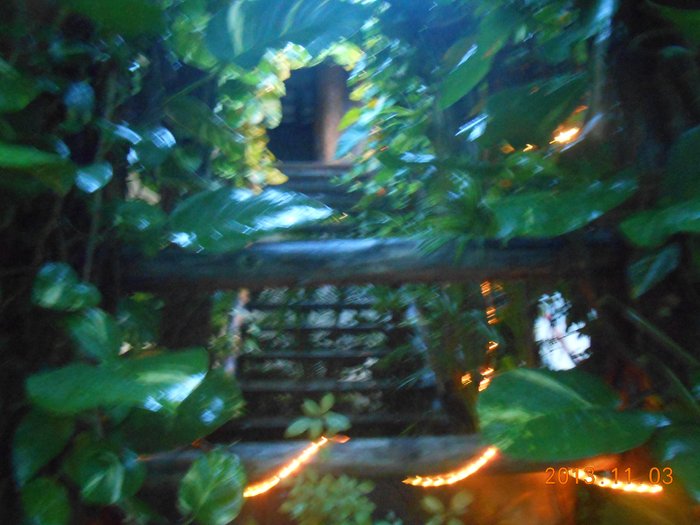 Imagen 18 de Hostel el Meson de Tulum